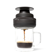 Palmpress - Classic Companion R4
